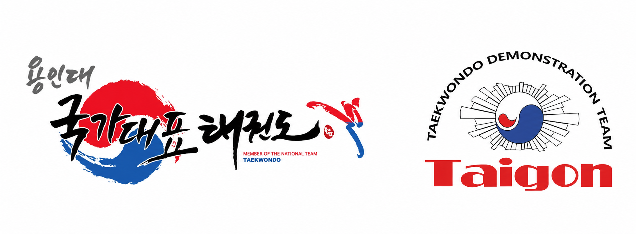 용인대 국가대표 태권도 및 Taigon 시범단 로고